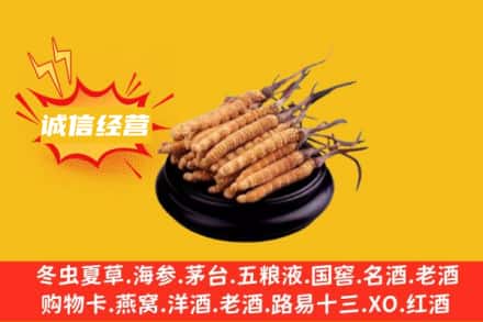 抚州市东乡回收冬虫夏草